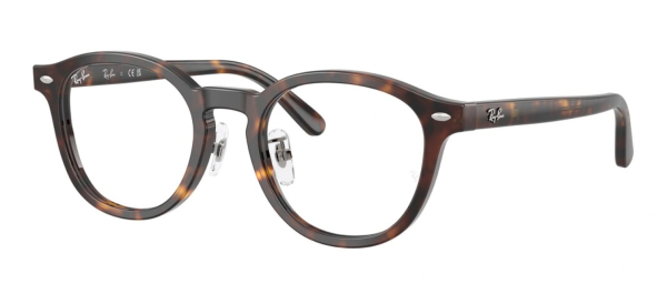 Оправа Ray Ban 5443D 2012 49