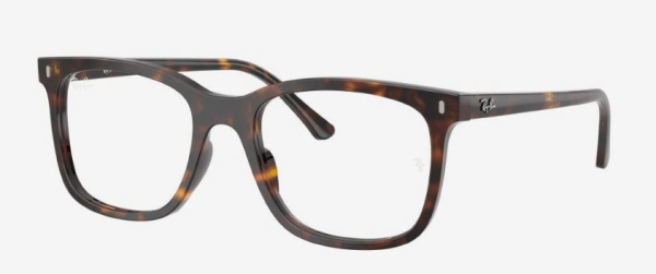 Оправа Ray Ban 5446 2012 53